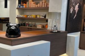 <span>LCDT</span> HASSELT