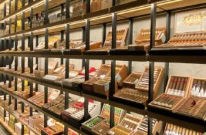 <span>LCDT</span> WATOU (IN STORE)