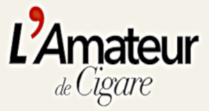 DOMINIQUE GYSELINCK, director of operations of the largest network